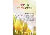 엽서형 전도지-01